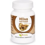 Natural Pharm Hliva Ustricová 100 tablet – Hledejceny.cz