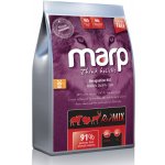 Marp Holistic Red Mix Grain Free 12 kg – Hledejceny.cz