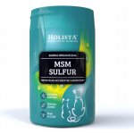 Holista MSM Sulfur doplňky stravy pro psy a kočky 250 g – Hledejceny.cz