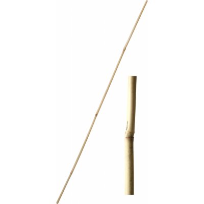 Tyč bambusová 240 cm tl. 20-22 mm – Zbozi.Blesk.cz