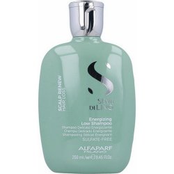 Alfaparf Milano Semi Di Lino Scalp Renew Shampoo 1000 ml