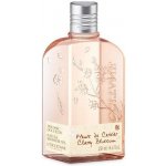 L'Occitane Fleurs de Cerisier sprchový gel 250 ml – Hledejceny.cz