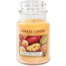 Yankee Candle Mango Peach Salsa 623 g