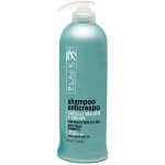 Black Anti-Frizz Shampoo 500 ml – Zboží Mobilmania