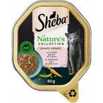 Sheba Natures Collection losos v omáčce 22 x 85 g – Zboží Mobilmania