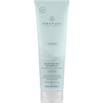 Paul Mitchell Awapuhi Wild Ginge Moisturizing Lather Shampoo 250 ml – Zbozi.Blesk.cz