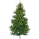 Alpina Vánoční stromek DIVOKÝ SMRK výška 150 cm