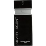 Jacques Bogart Silver Scent toaletní voda pánská 100 ml – Hledejceny.cz