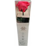 Verdissimo Stabilizovaná věčná růže se stonkem v dárkové krabičce - tmavě růžová – Zboží Dáma