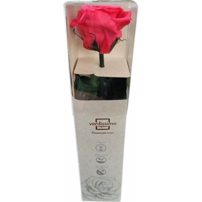 Verdissimo Stabilizovaná věčná růže se stonkem v dárkové krabičce - tmavě růžová – Zboží Mobilmania