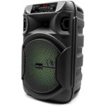 SQUEAK KARAOKE SPEAKER PULSETOWER BT 5.3 + EDR SQ1006 – Sleviste.cz