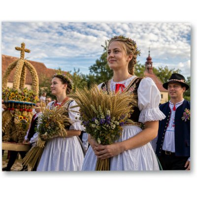 Plakát – Lidé v krojích se sklizňovými kyticemi 100 × 80 cm Bez rámu Bez rámu Ne – Hledejceny.cz