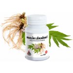 VALKNUT Kozlík Lékařský Valerianae Radix 100+20 kapslí – Hledejceny.cz