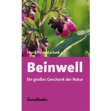 Beinwell Pechatschek Hans Paperback