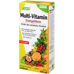 Salus Bio bylinné tonikum Multivitamin Energeticum 250 ml – Hledejceny.cz