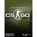 Counter Strike: Global Offensive