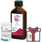 Vitar Veterinae ArtiVit sirup 200 ml DentOn 50 g – Hledejceny.cz