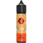ZAP! Juice Shake & Vape AISU Melon 20 ml – Zboží Dáma