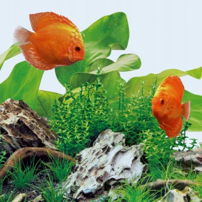 Juwel zářivka LED Day 43,8 cm, 12 W – Hledejceny.cz