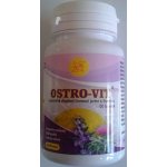 MedinTerra Ostro vit 60 tablet – Hledejceny.cz