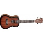 Tanglewood TWT 3 – Zbozi.Blesk.cz