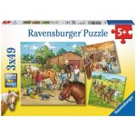 Ravensburger Koňská farma 3 x 49 dílků – Zboží Dáma