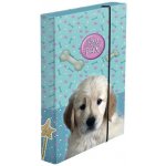 Karton P+P A5 pes 3-77222 – Zboží Dáma