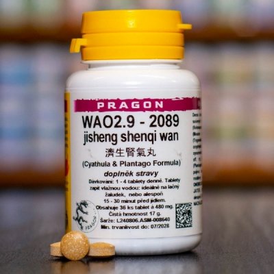 Pragon WAO2.9 - 2089 36 tablet – Hledejceny.cz