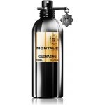 Montale Oudmazing parfémovaná voda unisex 100 ml – Hledejceny.cz