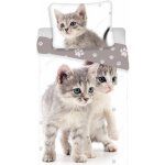 Jerry Fabrics povlečení Kitten grey 140x200 70x90 – Zbozi.Blesk.cz