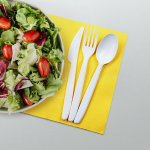 Vidlička PP znovu použitelná bílá 18 5cm 22007 – Hledejceny.cz