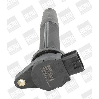 Zapalovací cívka BorgWarner (BERU) ZSE021 – Hledejceny.cz