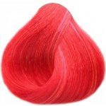 Black Sintesis barva na vlasy 0-6 extrémě červená 100 ml – Zboží Mobilmania