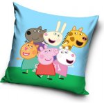 Carbotex Prasátko Peppa 40 x 40 cm – Sleviste.cz