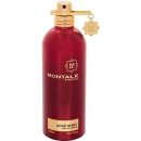 Montale Paris Aoud Shiny parfémovaná voda unisex 100 ml