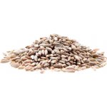 Aso Zdravý život Žito Bio 25 kg – Zboží Dáma
