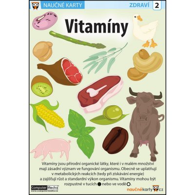 Vitamíny - Naučná karta – Zboží Mobilmania