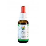 Salvia Paradise Marco AF tinktura 30 ml – Hledejceny.cz