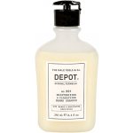 Depot NO.501 Moisturizing & Clarifying Beard Shampoo šampon na vousy 250 ml – Hledejceny.cz