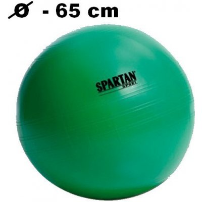 Spartan Fit 65 cm – Zboží Mobilmania