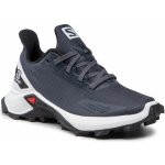 Salomon Alphacross Blast J 411160 09 W0 šedá – Zbozi.Blesk.cz