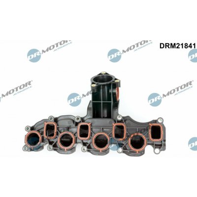 Dr.Motor Automotive DRM21841 – Hledejceny.cz