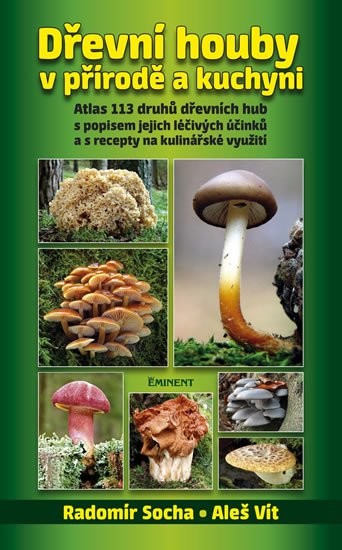Dřevní houby v přírodě a kuchyni Vít Aleš
