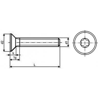 šroub M4x12 A2 NEREZ zápustná hlava TORX 20 DIN 7991 - ISO 10642 TX [1 ks] – Hledejceny.cz