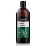 Ziaja Nettle šampon s výtažkem z kopřivy pro vlasy s lupy 500 ml – Sleviste.cz