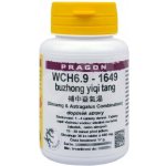 SINECURA WCH6.9-1649 buzhong yiqi tang 36 tablet – Hledejceny.cz