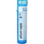 ALLIUM CEPA POR 9CH GRA 1X4G – Hledejceny.cz