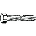 Závitořezný šroub se šestihrannou hlavou DIN 7513 A Ocel Pozinkované M5X10 – HobbyKompas.cz