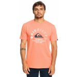 Quiksilver Mixed Signals MHV0/Fresh Salmon