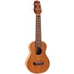 Takamine GUS1 – Zboží Mobilmania